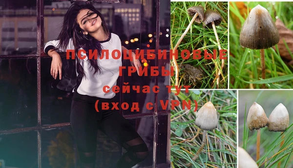 ешки Балабаново