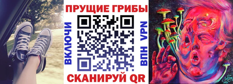 Галлюциногенные грибы Psilocybine cubensis  сайты даркнета какой сайт  Лукоянов  продажа наркотиков 
